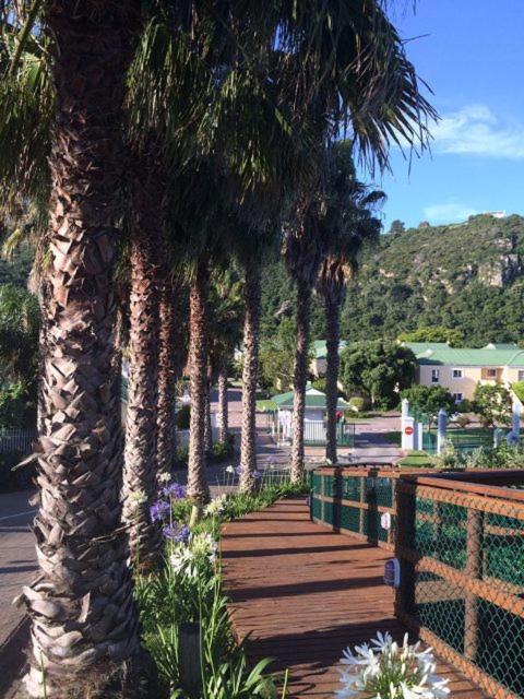 4278 River Club * Plettenberg Bay